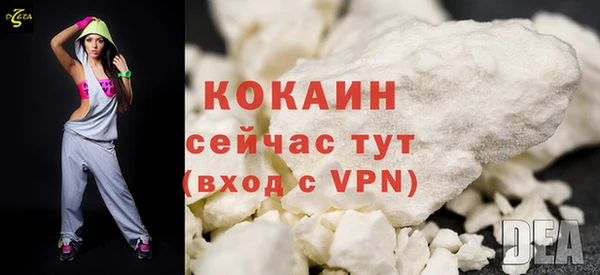 гашик Новодвинск