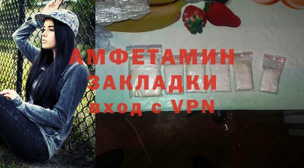 гашик Новодвинск